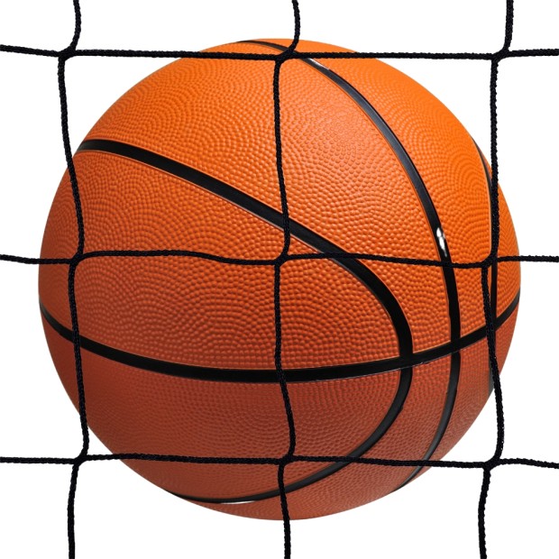 Basketball ball stop net