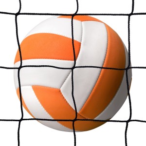 Volleyball ball stop net