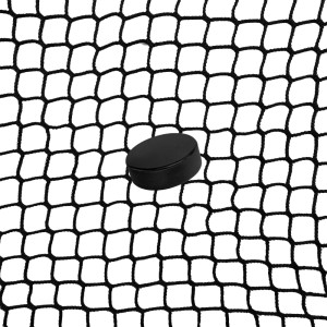 Hockey backstop net