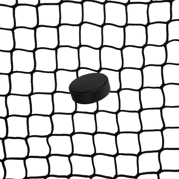 Hockey backstop net