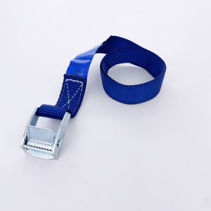 Webbing cam buckle strap