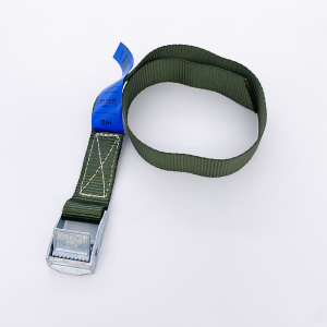 Webbing cam buckle strap