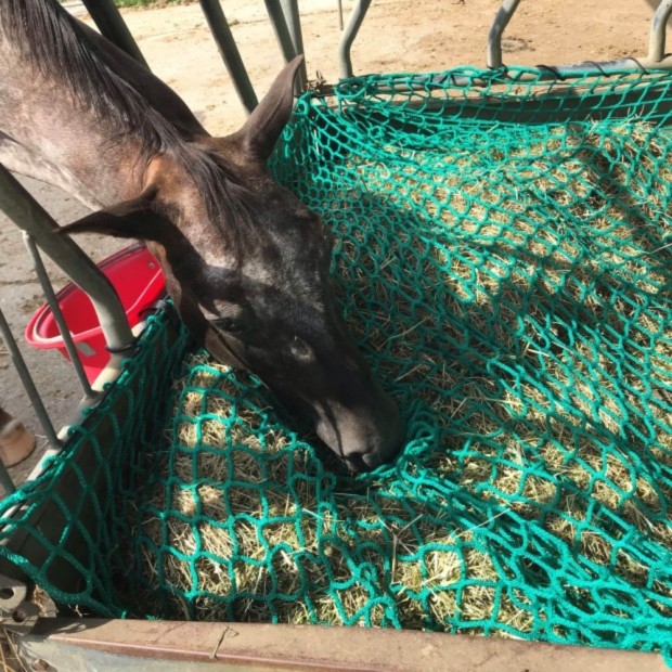 Hay net - Rectangular