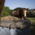 Hay net - Rectangular