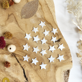 Mother of pearl star - Set of 10