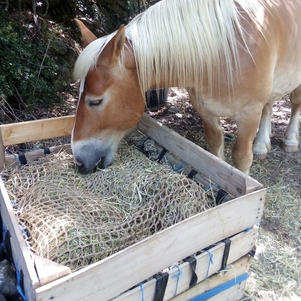 Custom-made hay net - Rectangular