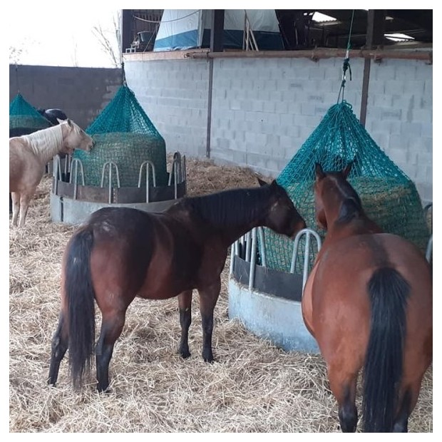 Custom-made hay net - Round bales