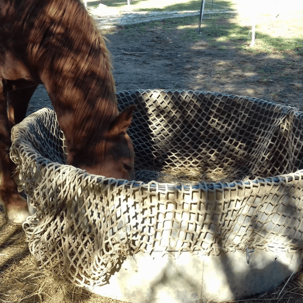 Custom-made hay net - Round