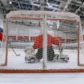 Filet but hockey sur glace - Lot de 2