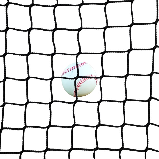 Baseball backstop net